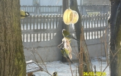 SAM_0062