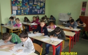 SAM_0194