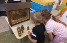 Dzieci obserwuja pszczoly.