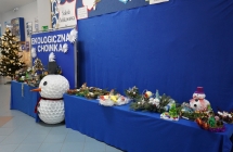 Ekologiczna choinka (6)