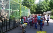 SAM_0520