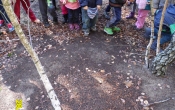 SAM_0971
