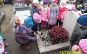 SAM_1005